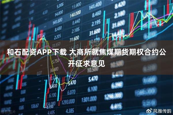 和石配资APP下载 大商所就焦煤期货期权合约公开征求意见