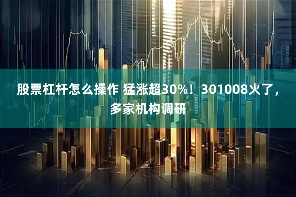 股票杠杆怎么操作 猛涨超30%！301008火了，多家机构调研