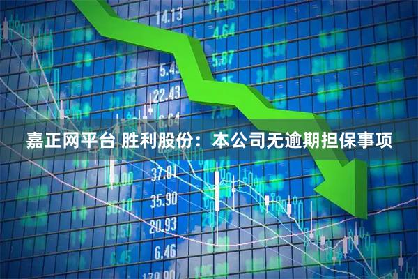 嘉正网平台 胜利股份：本公司无逾期担保事项