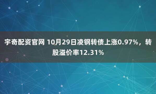 宇奇配资官网 10月29日凌钢转债上涨0.97%，转股溢价率12.31%