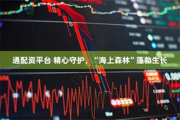通配资平台 精心守护,“海上森林”蓬勃生长